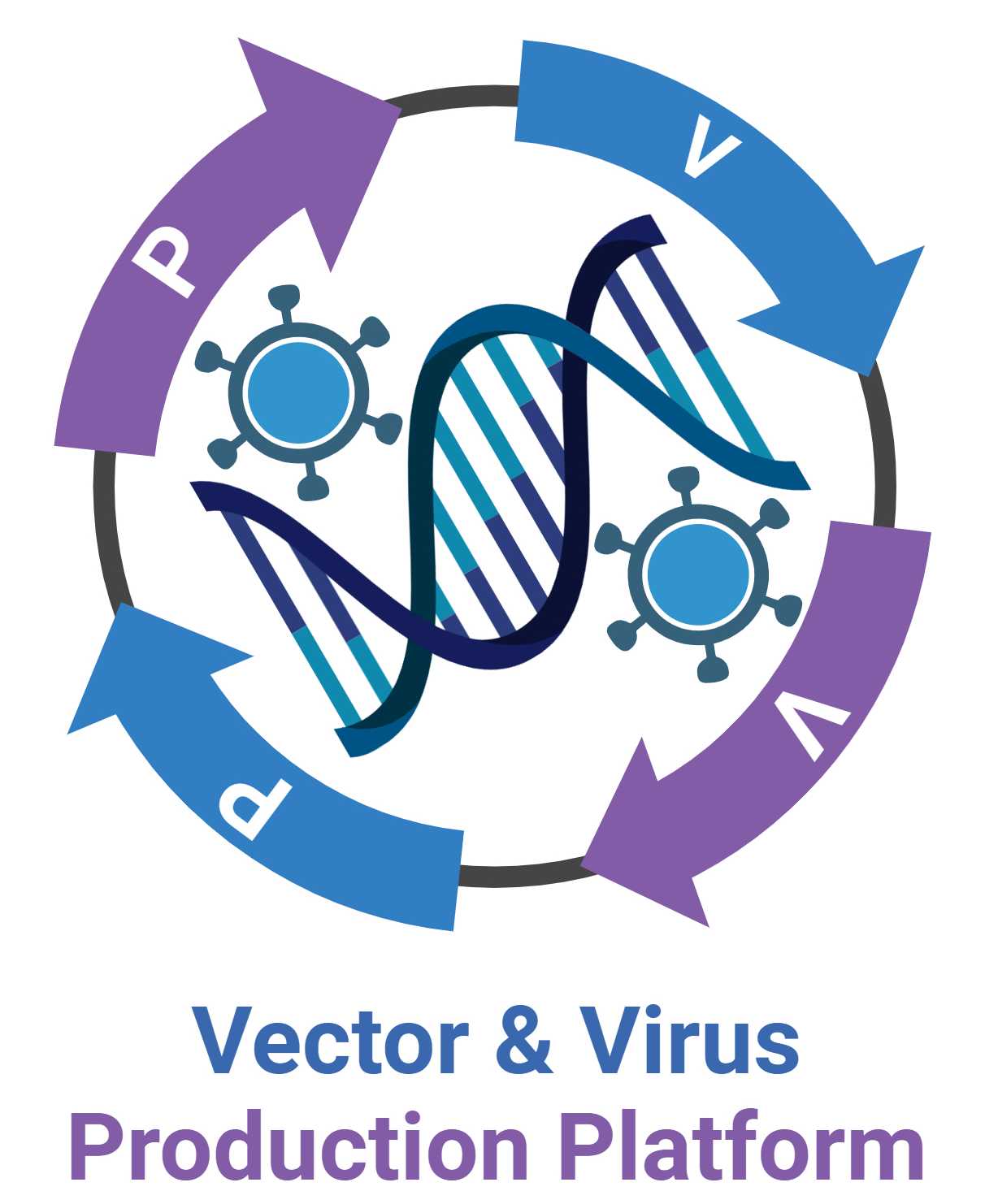 Virus & Virus Production Platform