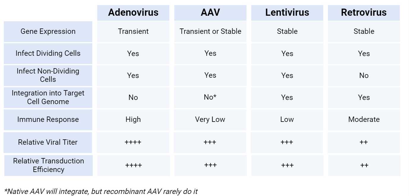 Which is the right virus for you?